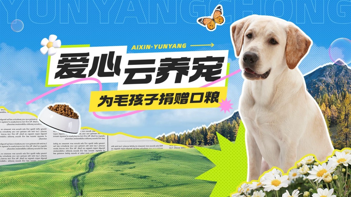 宠物救助宣传横版视频封面预览效果