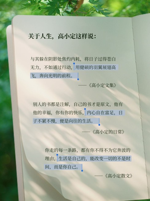 书单语录小红书封面预览效果