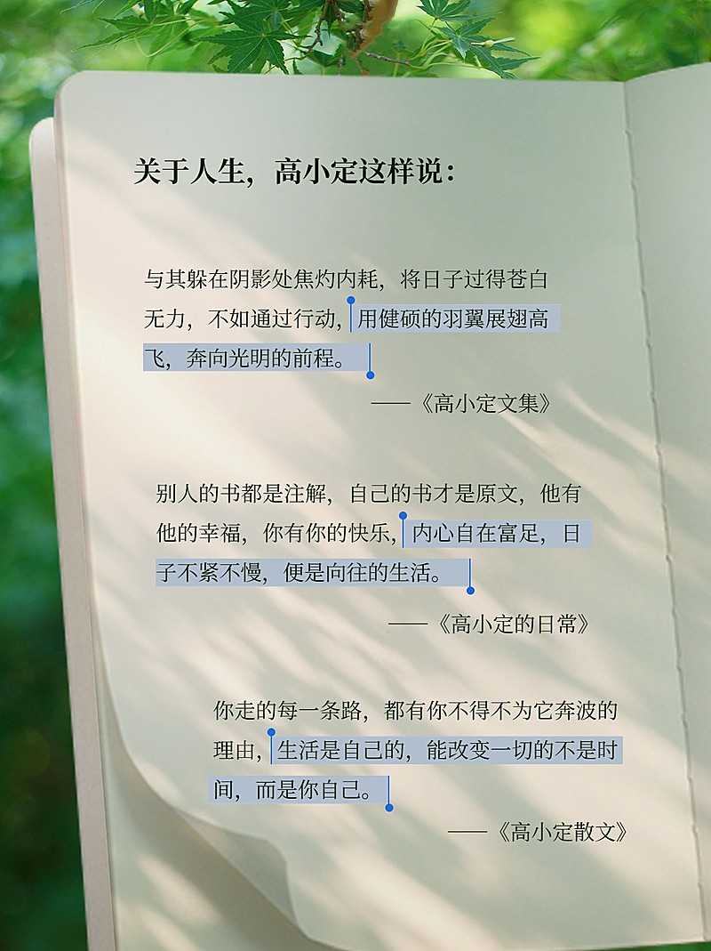 书单语录小红书封面