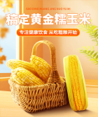 模板缩略图