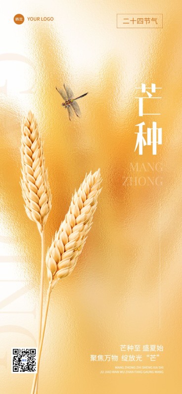 芒种美业美容院节气祝福全屏竖版海报预览效果