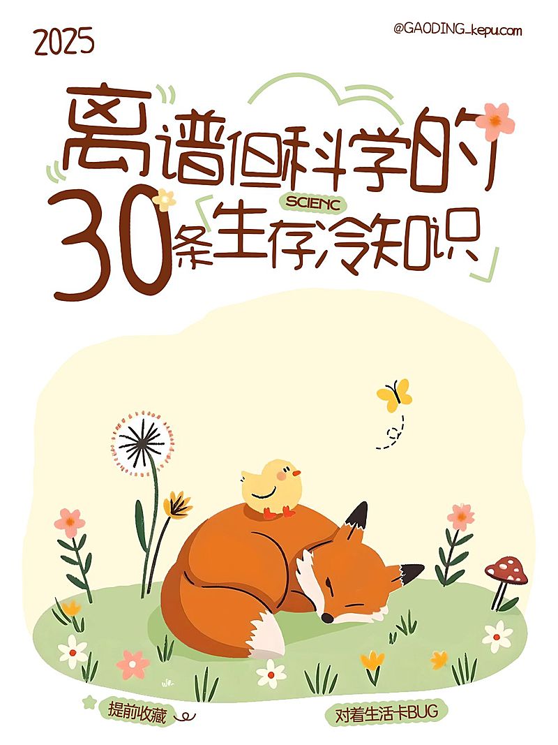 知识科普攻略插画小红书封面aigc