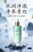模板缩略图