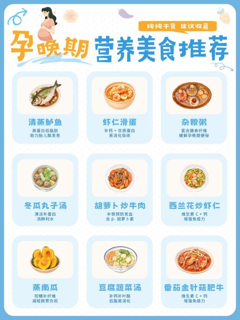 母婴亲子孕产孕期营养美食推荐小红书配图预览效果