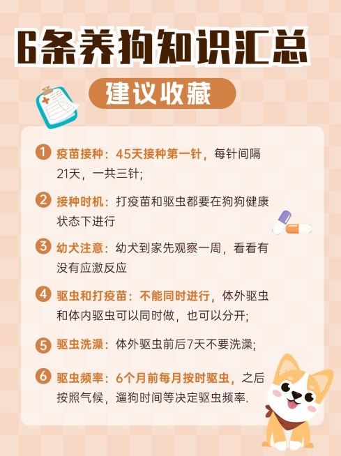 宠物知识科普小红书配图预览效果