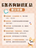 模板缩略图