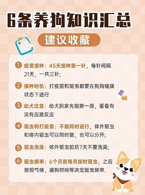宠物知识科普小红书配图