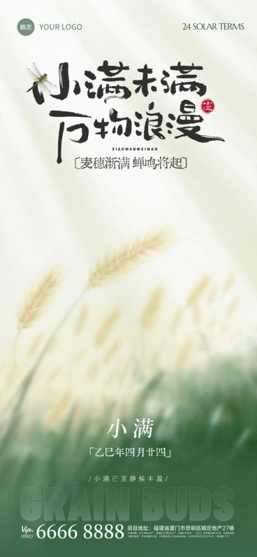 小满节气弥散渐变水稻插画海报预览效果