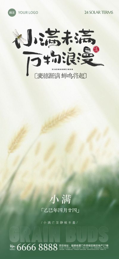 小满节气弥散渐变水稻插画海报AIGC