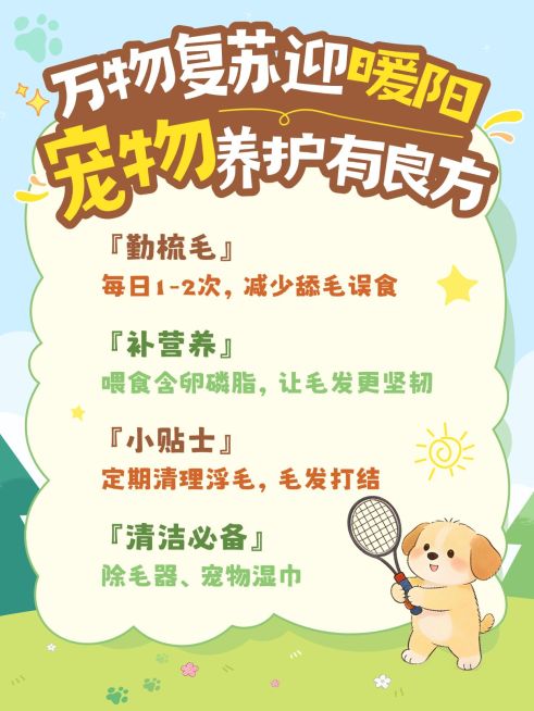 宠物养护攻略小红书配图海报预览效果
