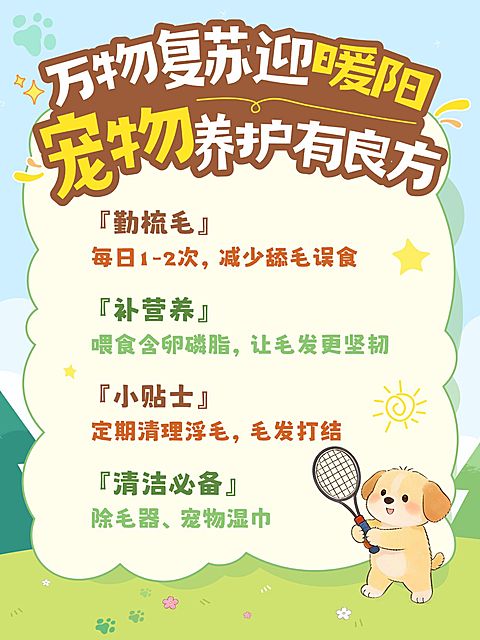 宠物养护攻略小红书配图海报