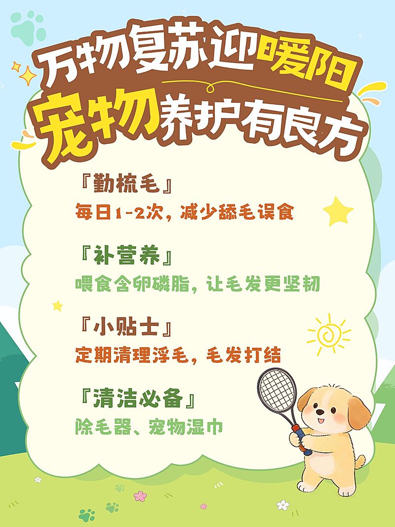 宠物养护攻略小红书配图海报