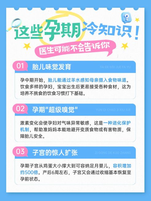母婴亲子孕产孕期冷知识攻略科普小红书配图预览效果