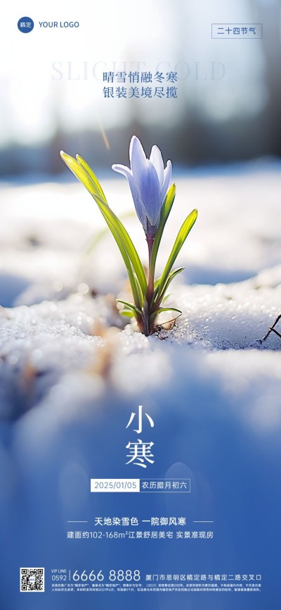 小寒房地产节气祝福问候实景风全屏竖版海报AIGC
