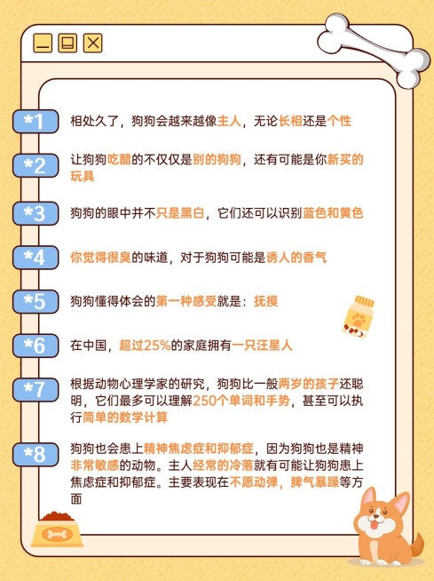 宠物知识科普小红书套装小红书配图预览效果
