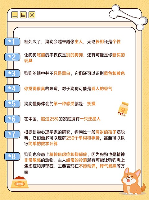 宠物知识科普小红书套装小红书配图