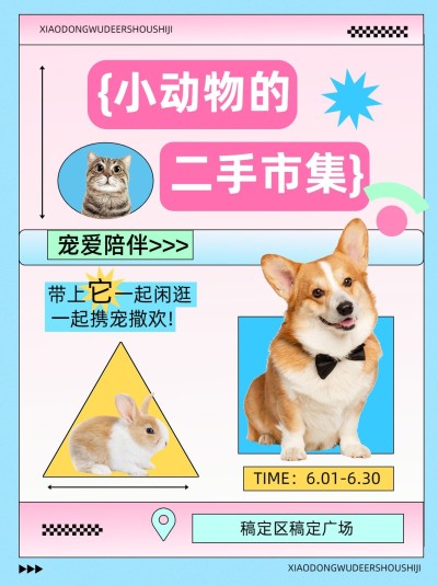 宠物市集活动宣传小红书封面