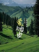 模板缩略图