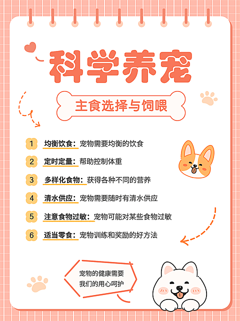 宠物知识科普手帐风小红书封面