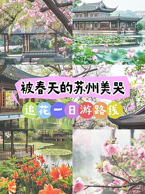春季春日赏花旅游攻略拼图宫格花字小红书封面aigc