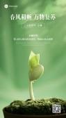 模板缩略图