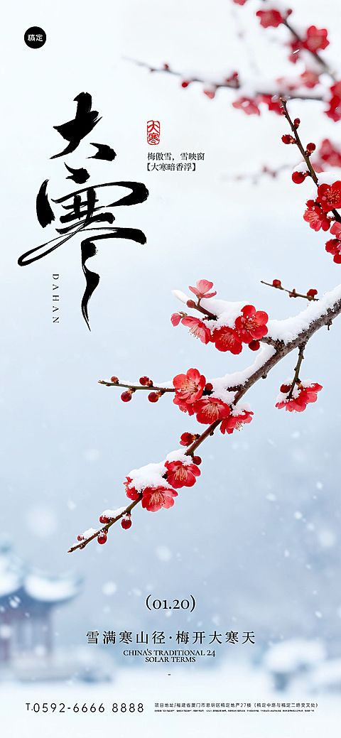 大寒节气祝福实景感梅花积雪通用全屏竖版海报