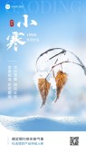 模板缩略图
