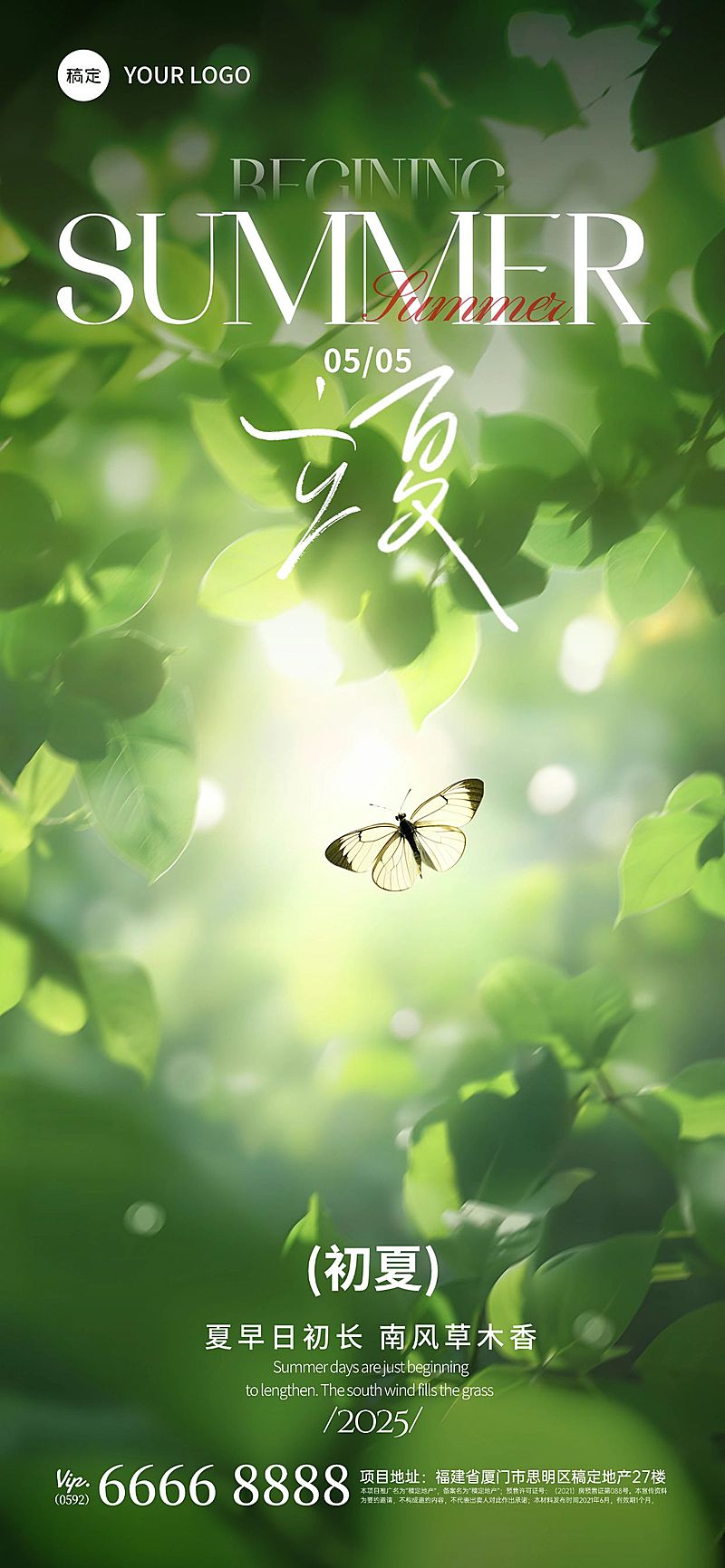 立夏实景感光影树梢场景背景全屏手机海报