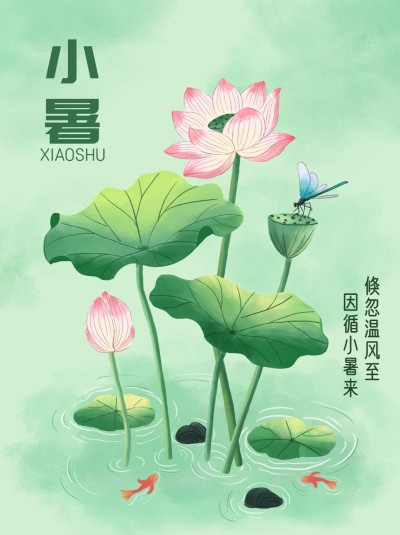小暑节气科普中式感小红书套装小红书封面