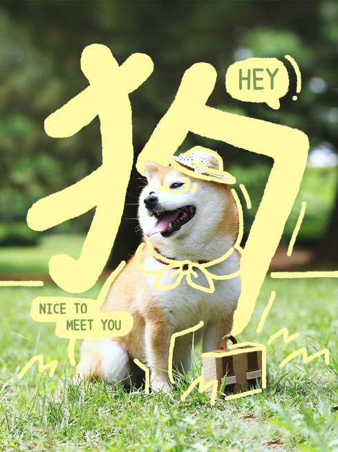 宠物晒照照片创意涂鸦小红书配图预览效果