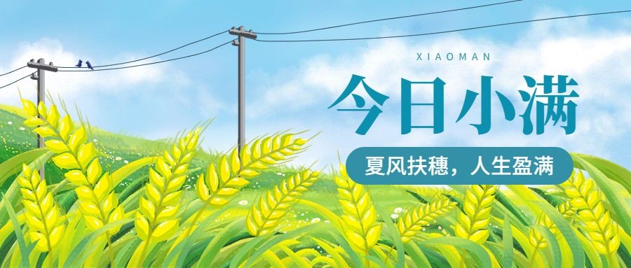 小满节气祝福公众号首图预览效果