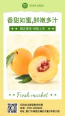 模板缩略图