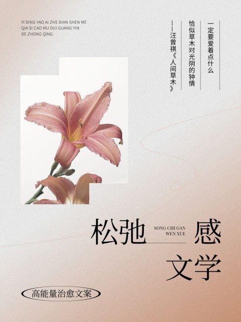 情感语录文案图框配图小红书封面预览效果