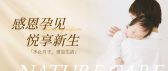 模板缩略图