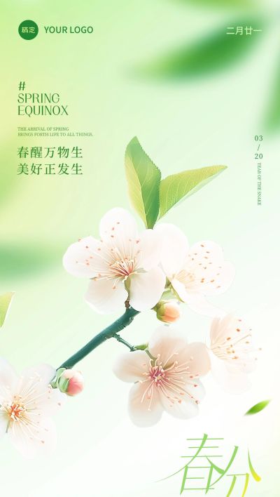 春分节气清新弥散花朵海报AIGC