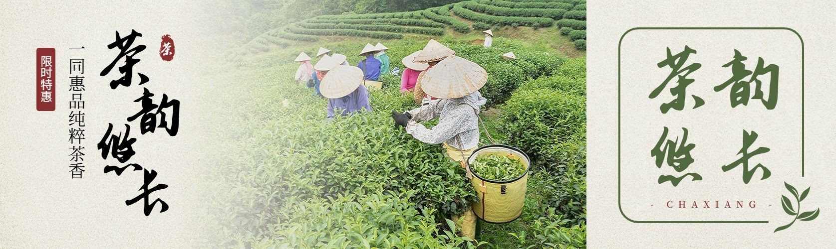 茶叶营销宣传公众号首图推文封面预览效果