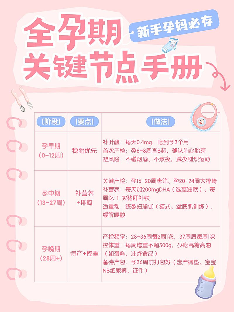 母婴亲子孕产全孕期知识科普攻略小红书配图