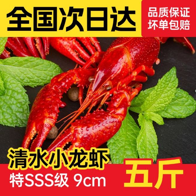 生鲜食品拼多多夏季小龙虾商品主图预览效果