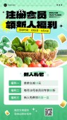 模板缩略图