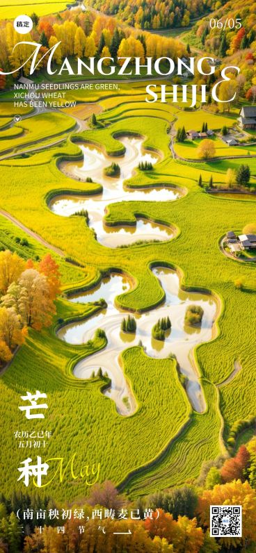 芒种节气祝福sd字实景宽阔全屏竖版海报AIGC预览效果