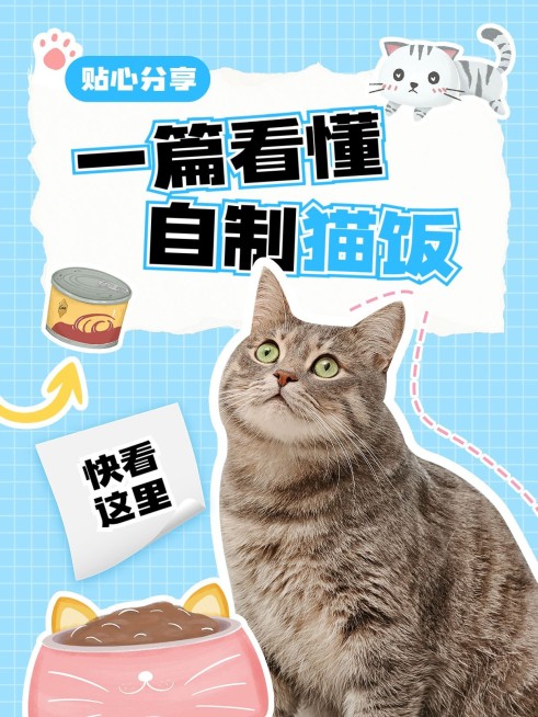 宠物知识科普手帐风套装小红书封面预览效果