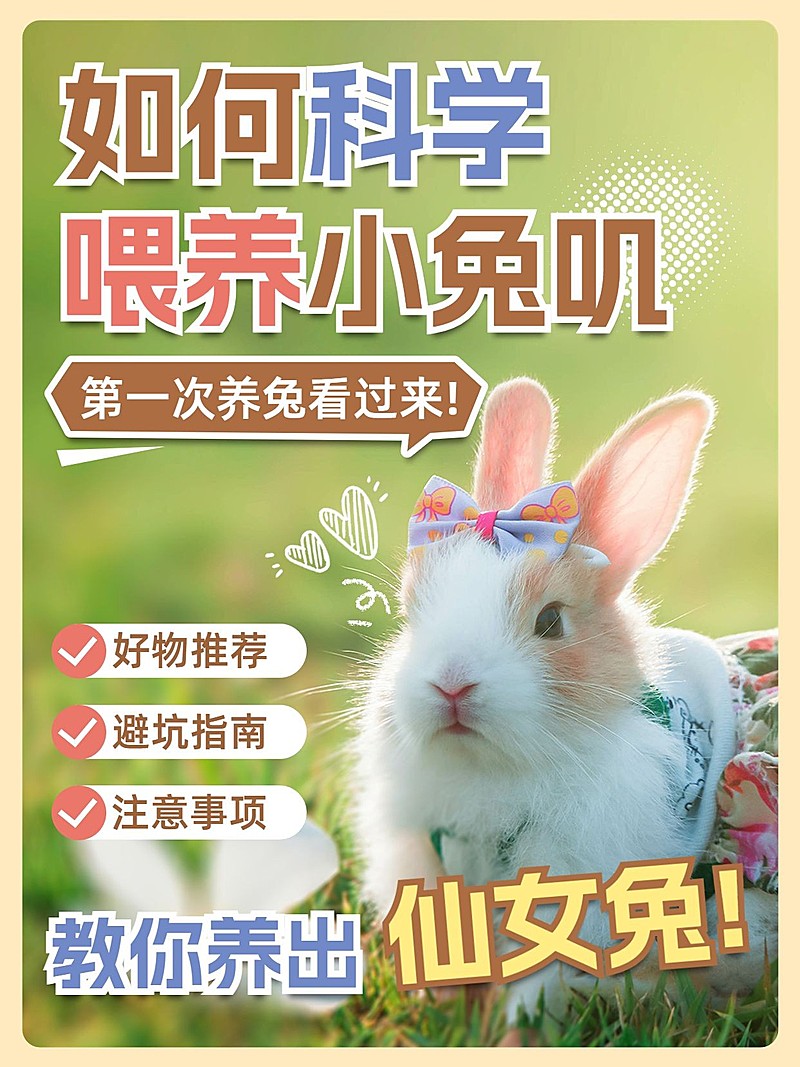 宠物兔子知识科普套装小红书封面