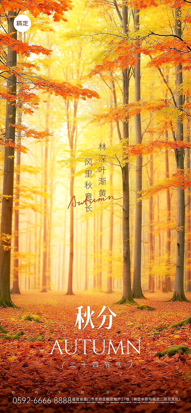 秋分节气祝福光影感秋日枫树海报AIGC