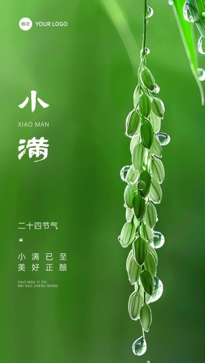 小满节气祝福实景清新全屏竖版海报AIGC
