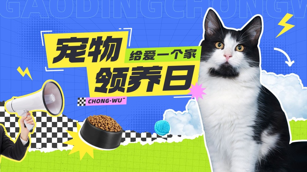 宠物救助宣传横版视频封面预览效果