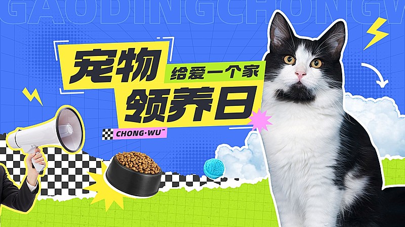 宠物救助宣传横版视频封面