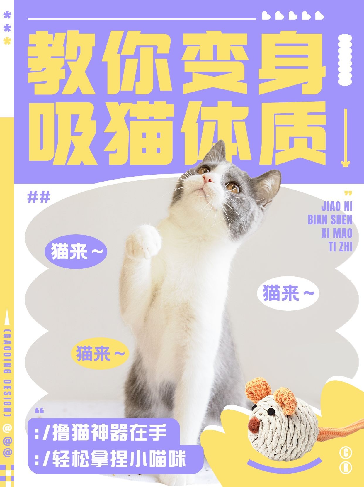 宠物产品宣传清新感小红书封面