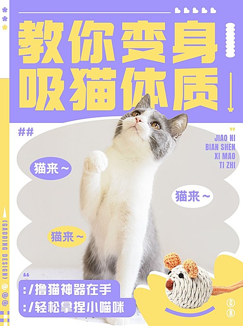 宠物产品宣传清新感小红书封面