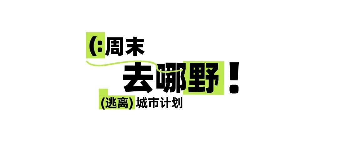 绿色夏季旅游出行露营活动公众号文章标题预览效果