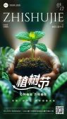 模板缩略图